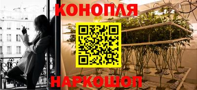 прущая мука Можга
