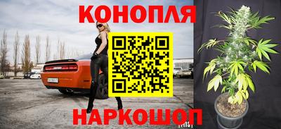 a pvp Моздок
