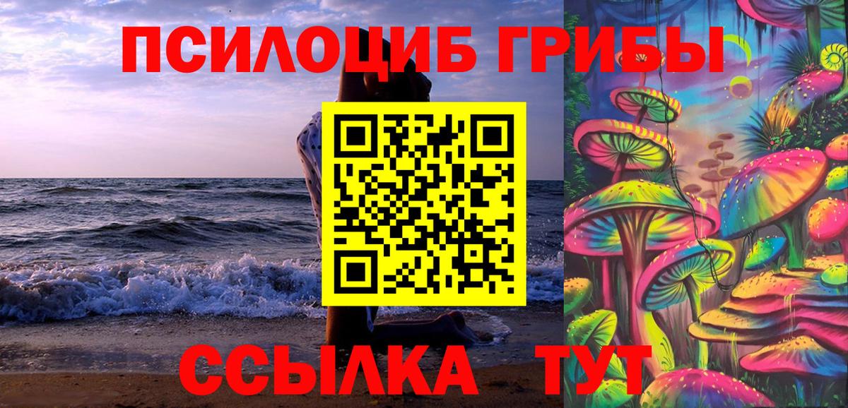 Лабинск  Псилоцибиновые грибы Psilocybe  Вход с VPN 